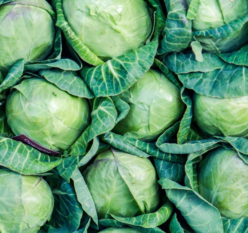 natasha-skov-ujh4hU9S-KA-unsplash